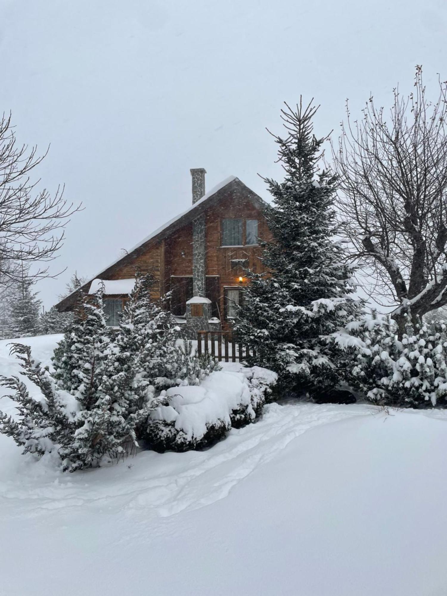 Chalet Ro Пештера Экстерьер фото