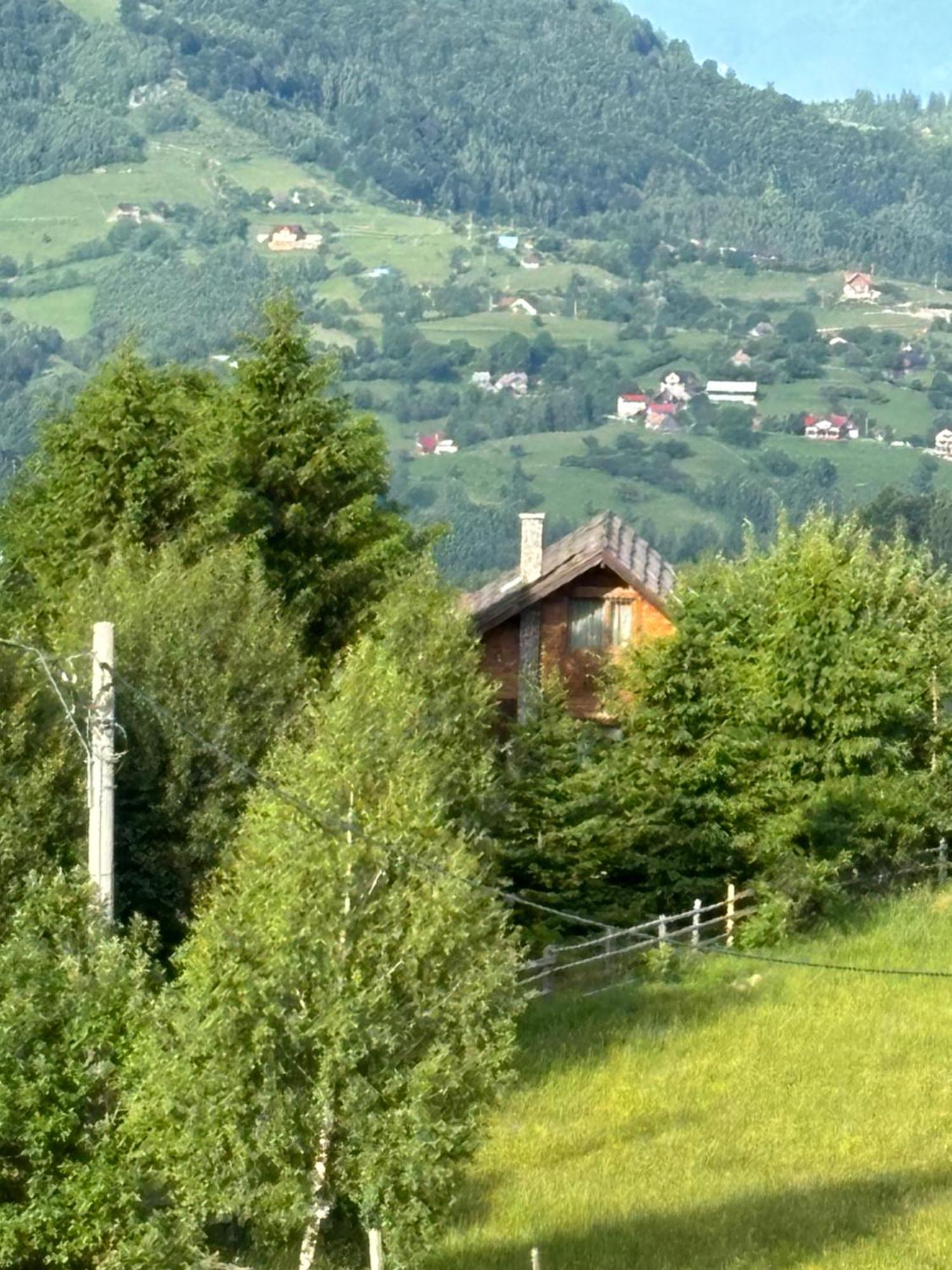 Chalet Ro Пештера Экстерьер фото